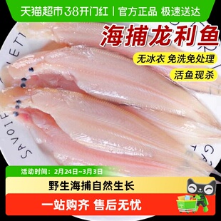 青岛龙利鱼去皮去内脏新鲜冷冻舌头鱼特大牛舌鱼鳎目鱼