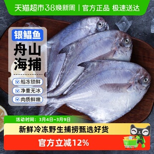 赫敏舟山银鲳鱼新鲜冷冻海鲜水产鲜活小鲳鱼昌鱼平鱼鲳鳊鱼非金鲳