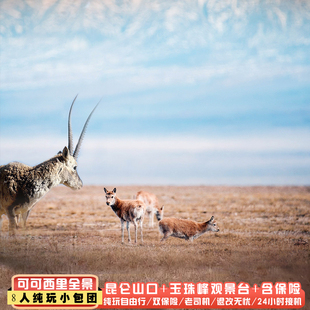 赠氧气青海格尔木可可西里昆仑山玉珠峰藏羚羊纯玩一日跟团拼包车