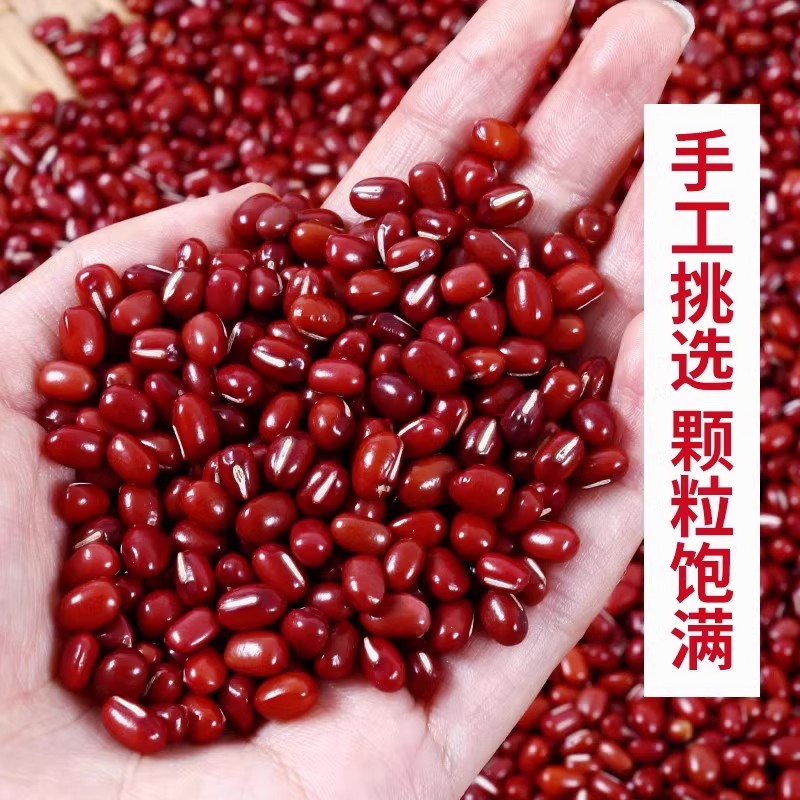 赤小豆新货长粒小红豆沙五谷杂粮煮粥打豆浆煲汤薏米红豆茶汤
