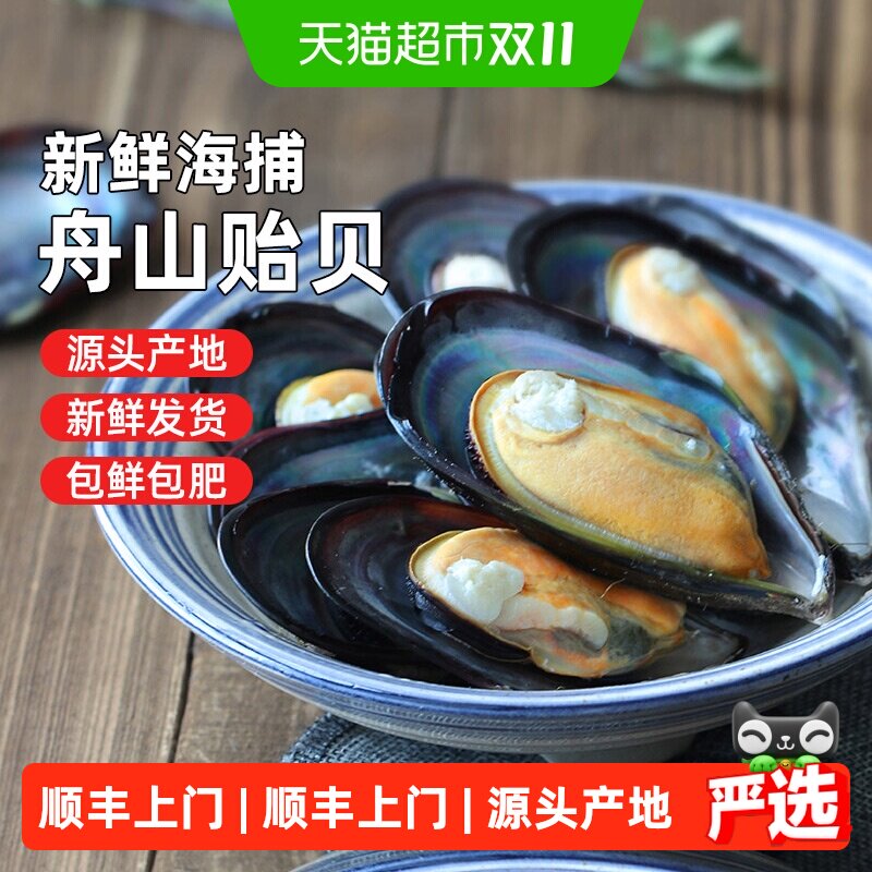 顺丰上门舟山淡菜嵊泗枸杞贻贝产地新鲜发货非特大海虹野生青口贝