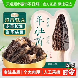 剪柄羊肚菌干货非新鲜菌菇菌汤包儿童煲汤干货食材礼盒云南特产