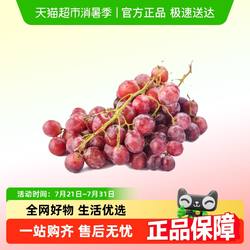 智利红提 500g