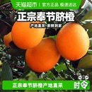 2025正宗重庆奉节脐橙纽荷尔当季 鲜橙子新鲜水果广柑子产地直采