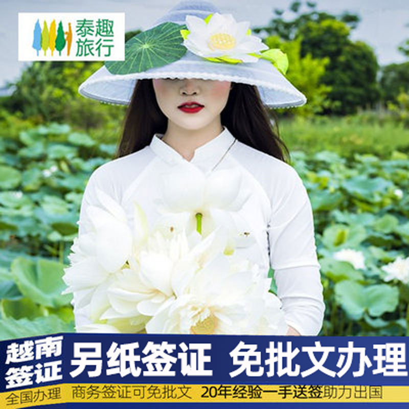 越南签证电子另纸签全国办