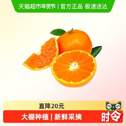 【臻选】临海涌泉蜜桔新鲜大棚晚熟柑橘桔子水果黄岩蜜桔当季整箱