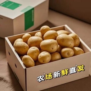 贵州老品种高山自留秋季黄皮黄心马铃薯土豆种子带芽口感面糯