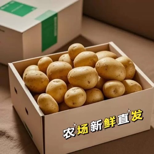 贵州老品种高山自留秋季黄皮黄心马铃薯土豆种子带芽口感面糯