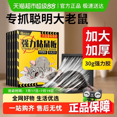 老鼠粘强力胶粘大老鼠室内粘鼠板