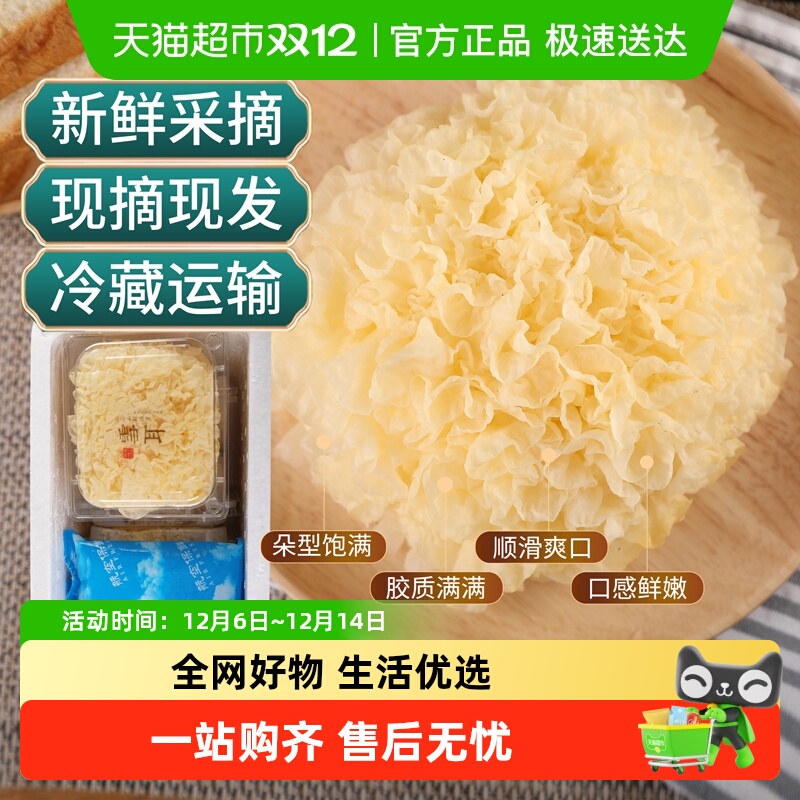 怡江黄金耳新鲜银耳130g×6盒