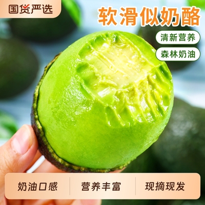 「秘鲁牛油果」甄选品质更香醇
