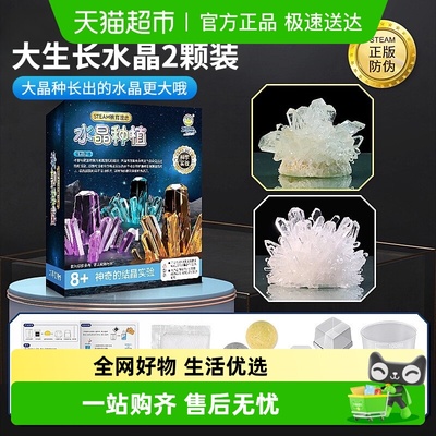 过凡种植成功率极高水晶