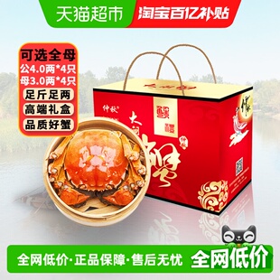 仲秋大闸蟹鲜活现货全母公螃蟹礼盒湖鲜河蟹 活蟹