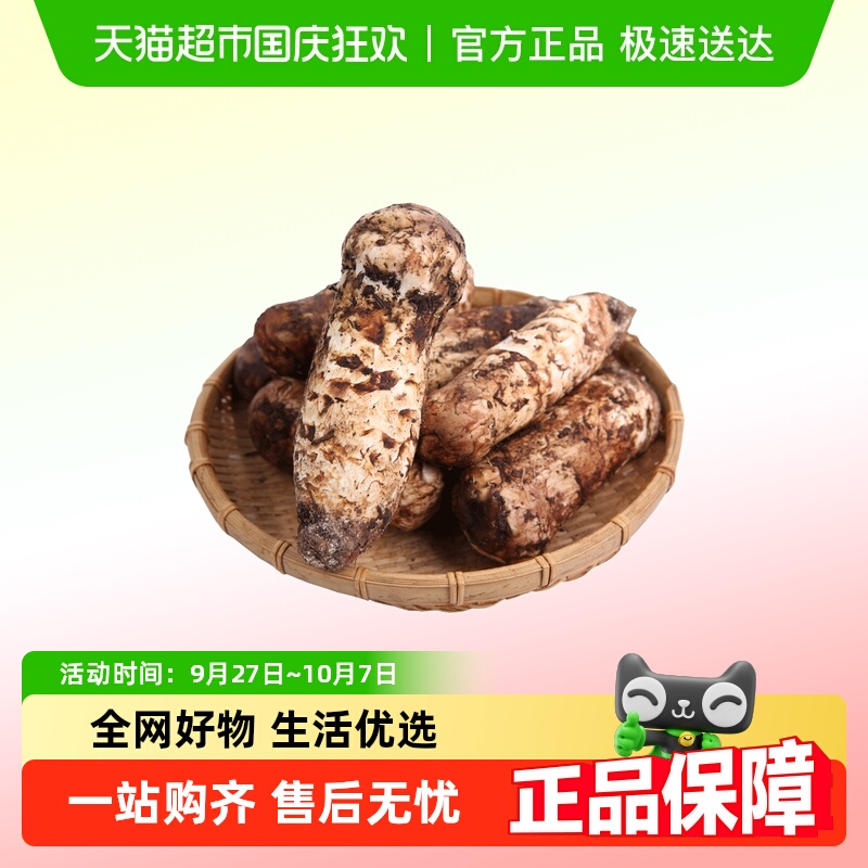 玲珑岭香格里拉新鲜松茸未开伞