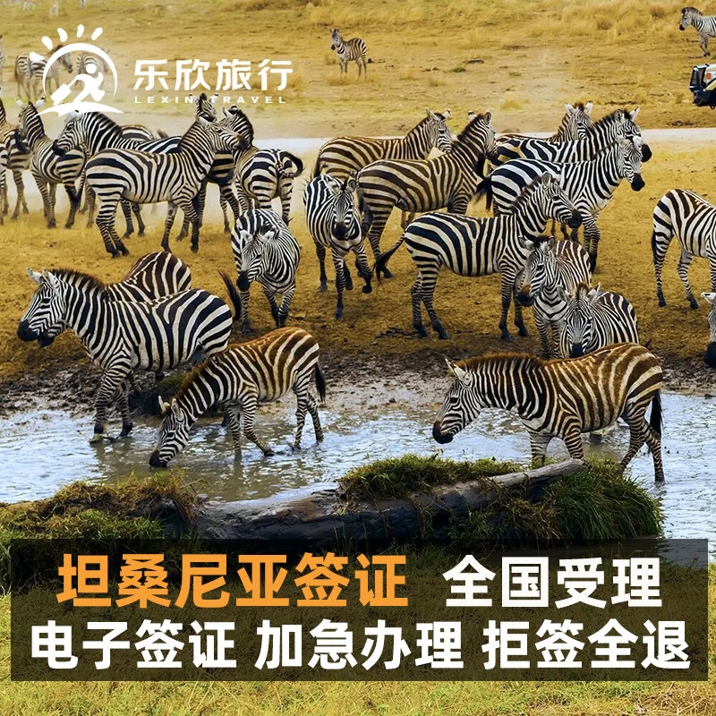 坦桑尼亚旅游签证电子签加急办理个人旅游简化资料免机票酒店