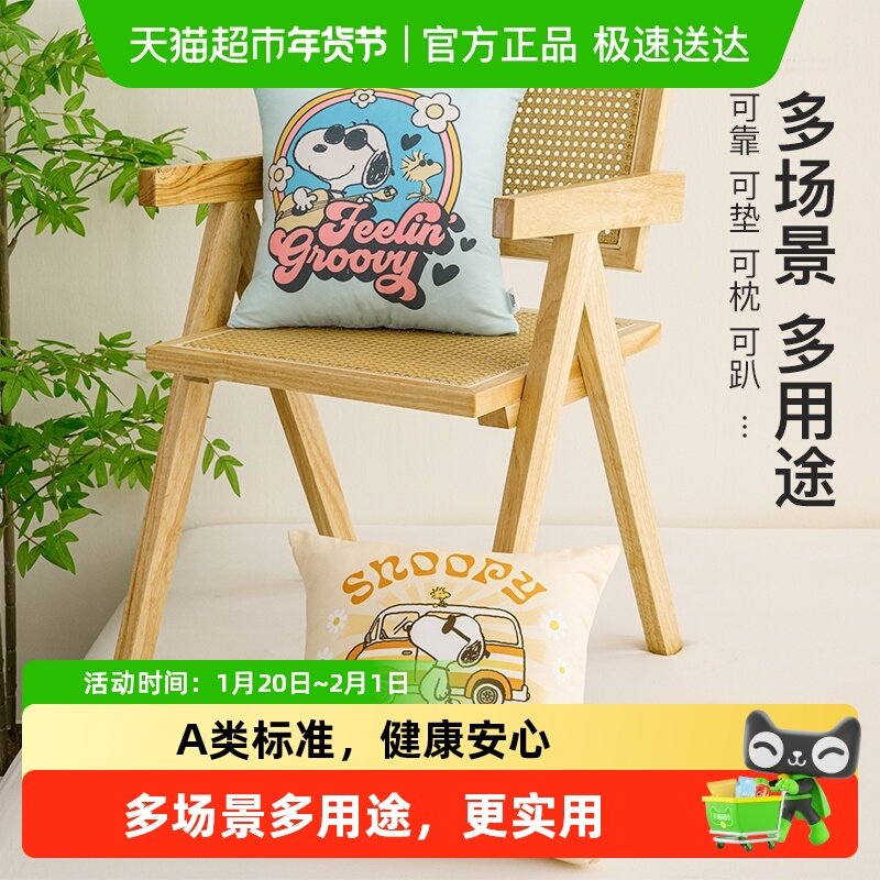 Snoopy/史努比抱枕办公室午睡沙发汽车床头靠垫腰枕可拆卸水洗,婴童用品,婴童枕头/枕芯,淘宝优惠券,粉丝福利购,淘宝优惠卷