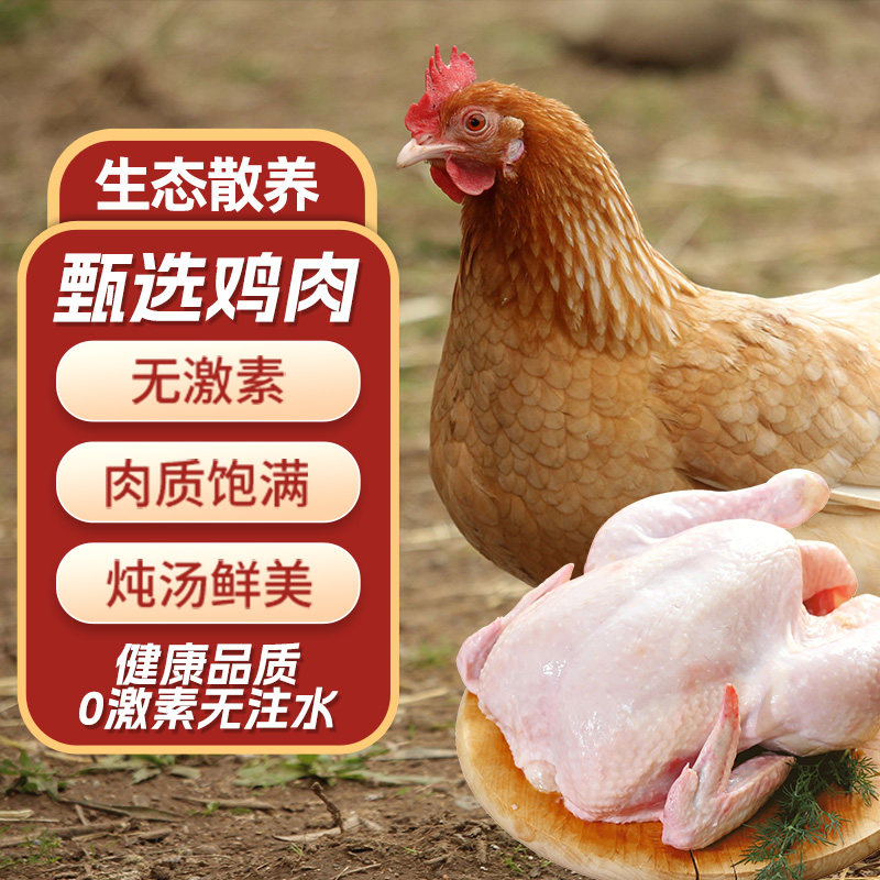 正宗三黄鸡农家散养土鸡新鲜现杀整鸡冷冻生鲜商用批发黄油鸡包邮,水产肉类/新鲜蔬果/熟食,鸡肉/鸡肉制品,淘宝优惠券,粉丝福利购,淘宝优惠卷