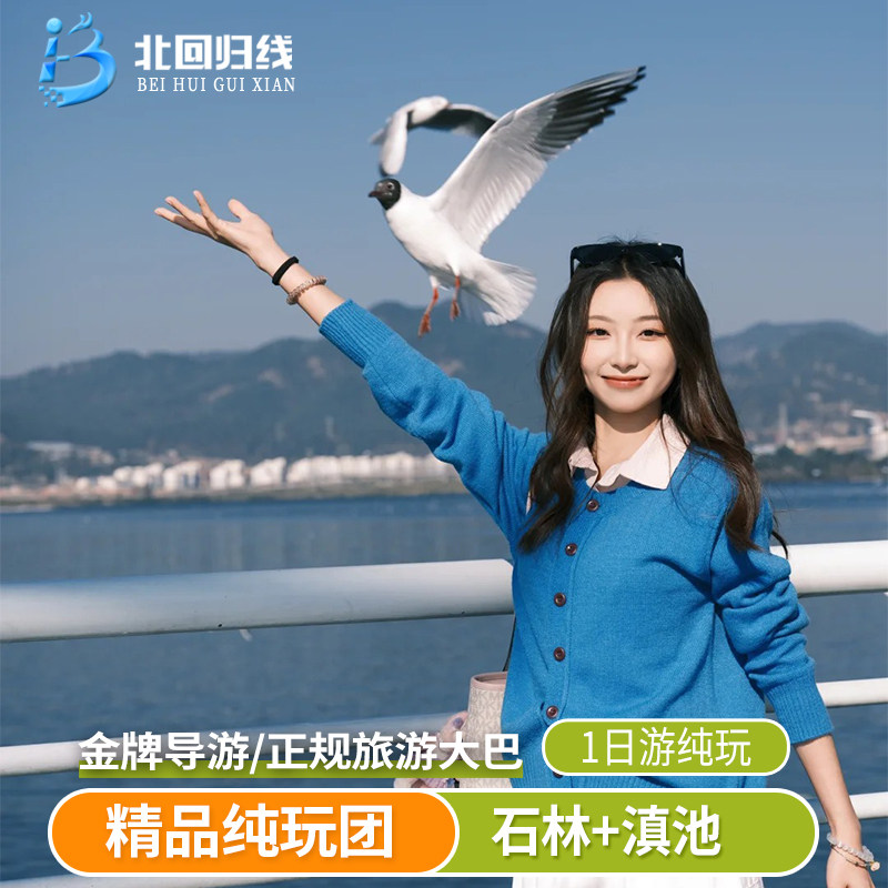 昆明石林滇池一日游