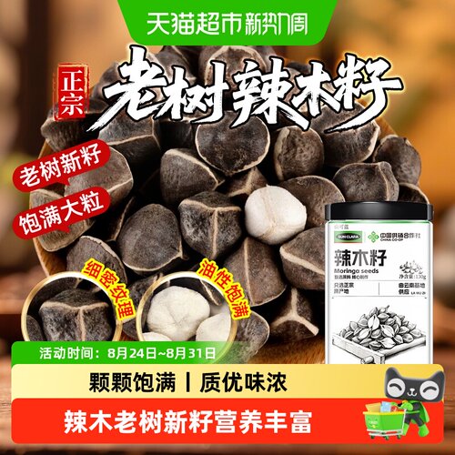 云南老树新果辣木籽