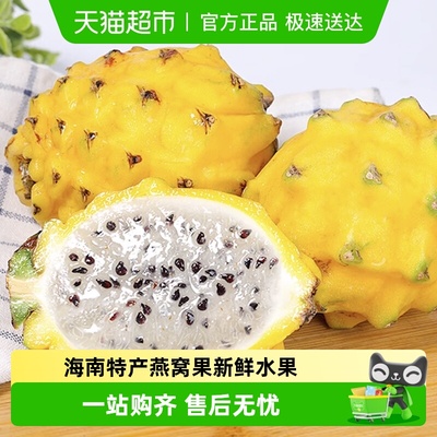 胡鲜森食品海南特产新鲜当季水果