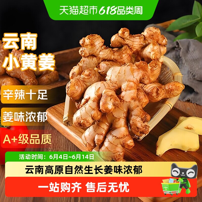 云南小黄姜红河新鲜生姜老姜现挖高山沙姜土姜种子蔬菜