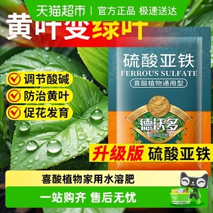 硫酸亚铁花肥料喜酸植物栀子花茶花茉莉花文竹水溶肥防黄叶家用肥