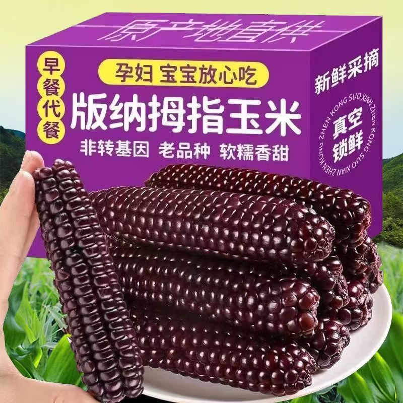 5斤云南西双版纳拇指玉米紫糯手指小玉米袖珍儿童玉米棒营养早餐