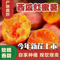 开封西瓜红蜜薯9斤红薯新鲜番薯农家现发烤地瓜山芋红薯板栗蜜薯