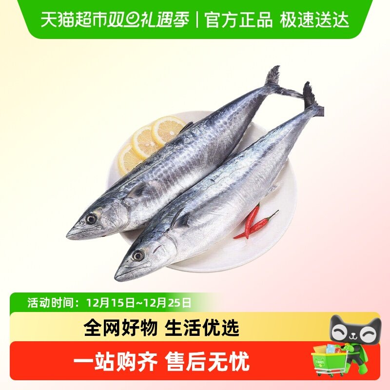 云储生活鲅鱼新鲜冷冻深海青岛特大马鲛鱼整条鲜活鲅鱼馅香煎鲅鱼