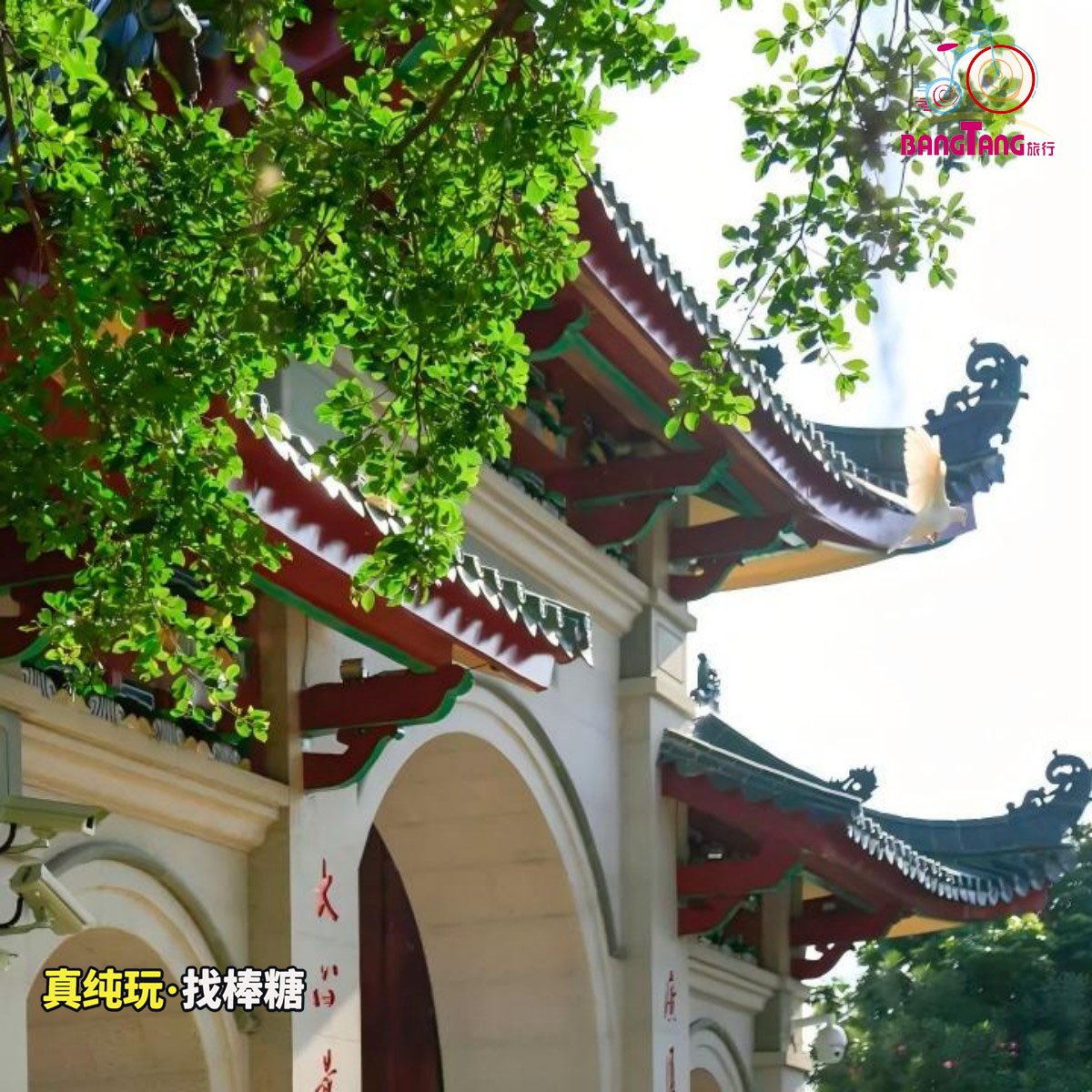 厦门旅游·南普陀寺人工讲解【1.5小时私家团】图片