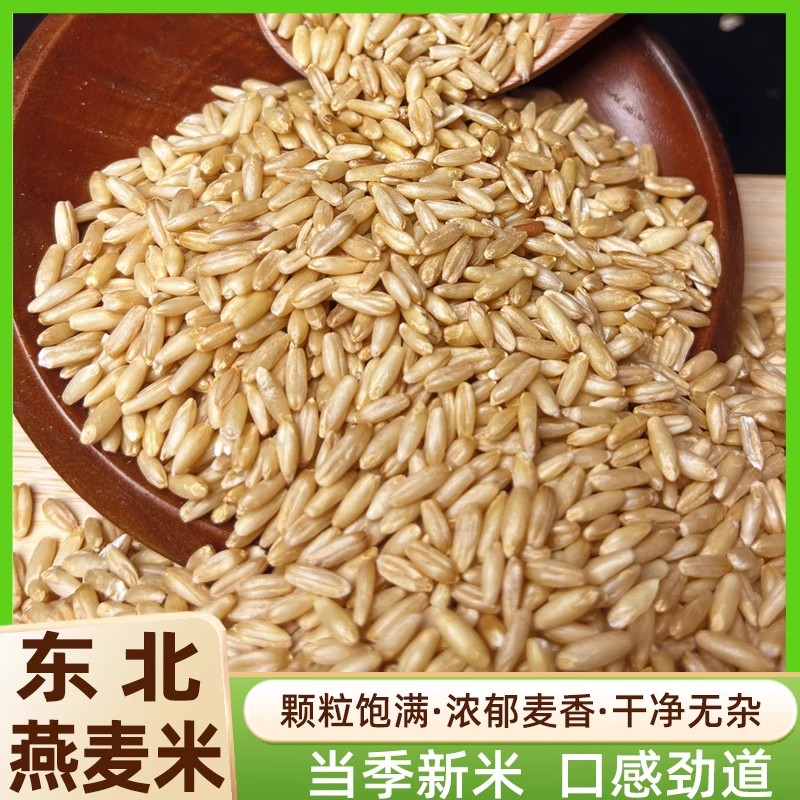 燕麦米新货米杂粮粗粮农家脱皮燕麦仁新米燕麦粒新鲜五谷粥