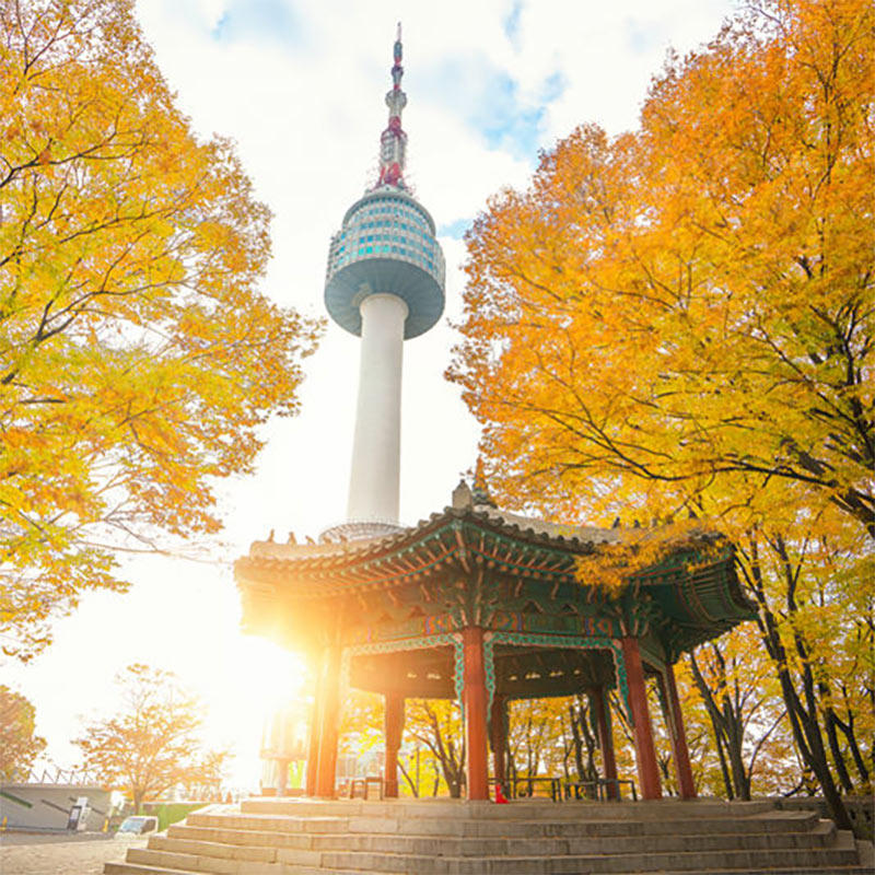 韩国首尔机票尾单石家庄/扬州直飞首尔4-5天自由行往返机票飞猪