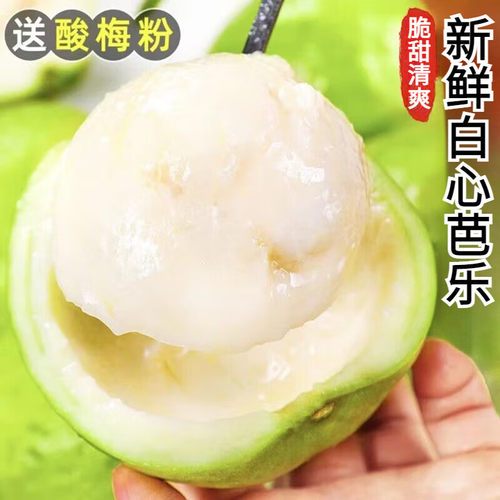 福建软糯奶油芭乐3斤起水果漳州当季软白番石榴软心甜多汁