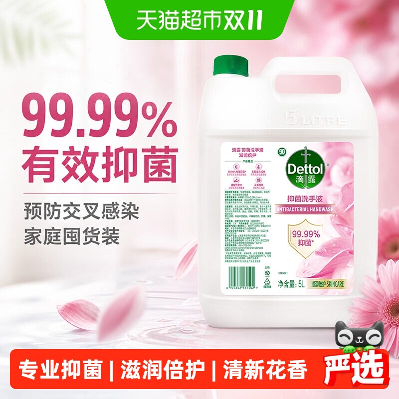 Dettol/滴露抑菌洗手液滋润倍护-超值家庭装多洗手不干