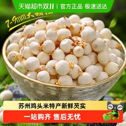 苏州鸡头米大颗粒特产新鲜当季芡实非干货农家自产去皮特级新鲜
