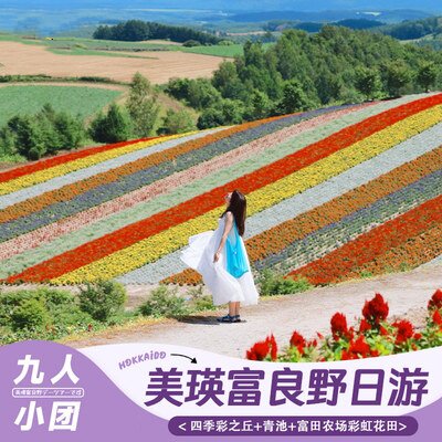 【9人团】日本北海道一日游四季彩之丘青池富田农场花海一日游