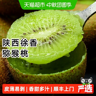 正宗陕西徐香猕猴桃彩箱装