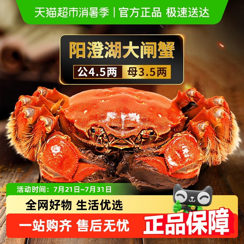 湖东蟹公闸蟹螃蟹