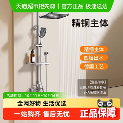 壹品印象精铜淋浴花洒套装家用