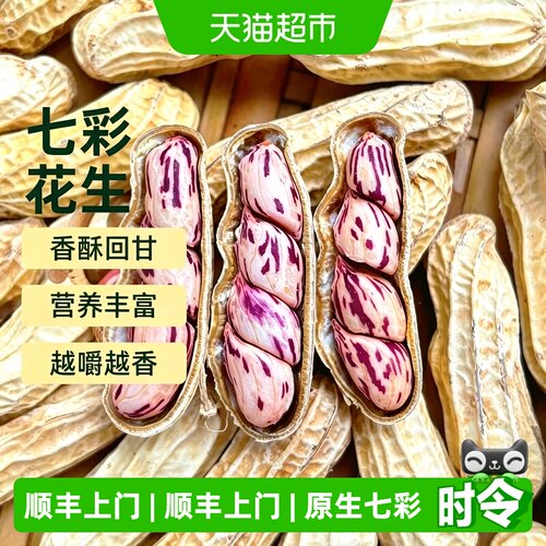 云南特产七彩花生新鲜湿花生