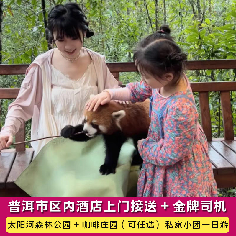 普洱出发 太阳河森林公园（小熊猫）+咖啡庄园（可选）纯玩一日游