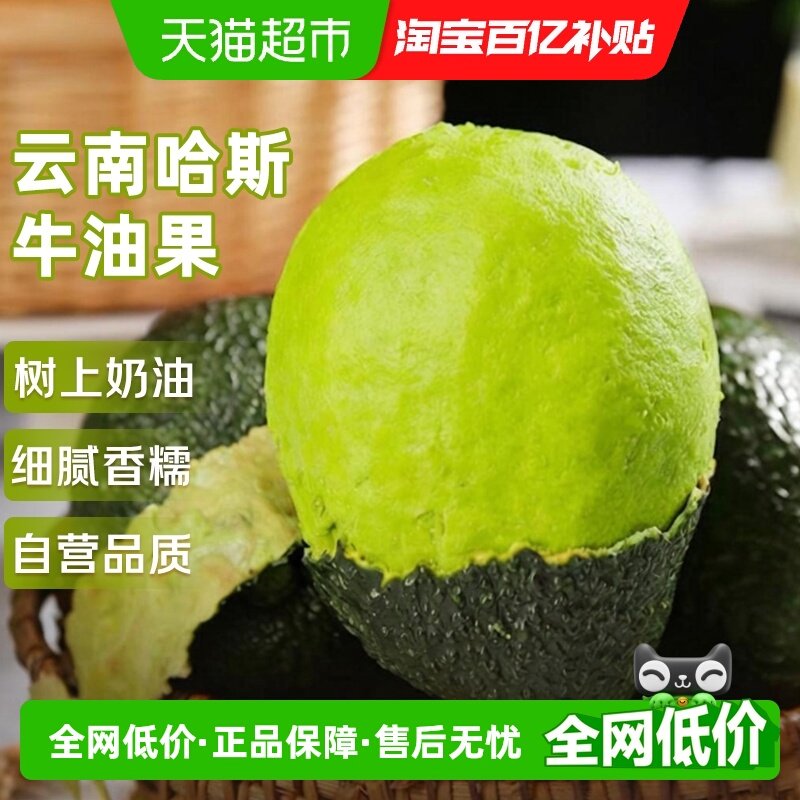 云南哈斯牛油果应当季新鲜水果整箱特大果孟连即食鳄梨孕妇