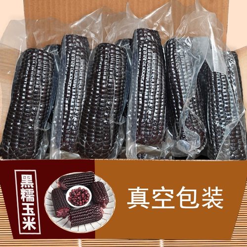 25年正宗黑土地黑糯玉米10支软糯香甜粘苞米整箱真空包装优质粗粮