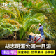 越南旅游胡志明美托湄公河一日游水上椰林中文导游可独立成团旅行