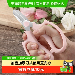 张小泉园艺花艺剪刀宽头家用花剪鲜花花道剪花枝树枝修花修枝工具