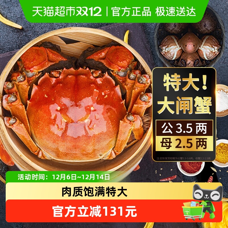 湖塘烟雨鲜活特大母蟹螃蟹