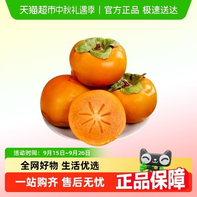 脆柿子新鲜脆甜水果