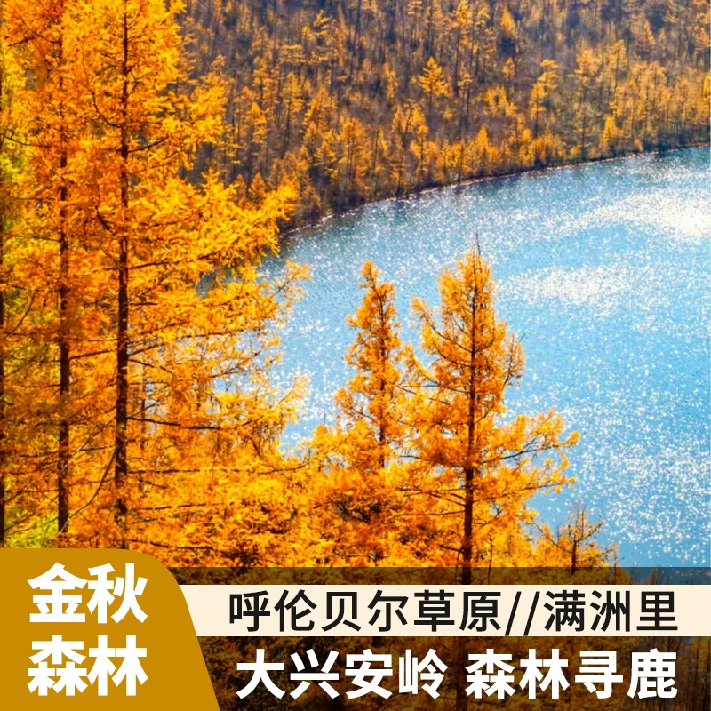 内蒙古呼伦贝尔阿尔山满洲里草原大兴安岭森林秋季6天5晚纯玩跟团