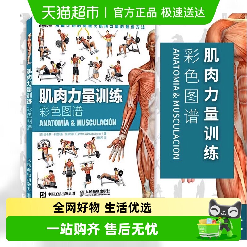 肌肉力量训练彩色图谱 拉伸训练书减脂增肌运动健身书籍肌肉训练