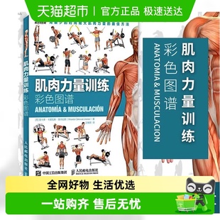 肌肉力量训练彩色图谱 拉伸训练书减脂增肌运动健身书籍肌肉训练